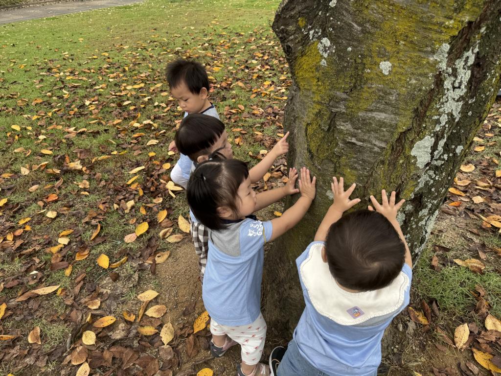 가을소풍 이미지 