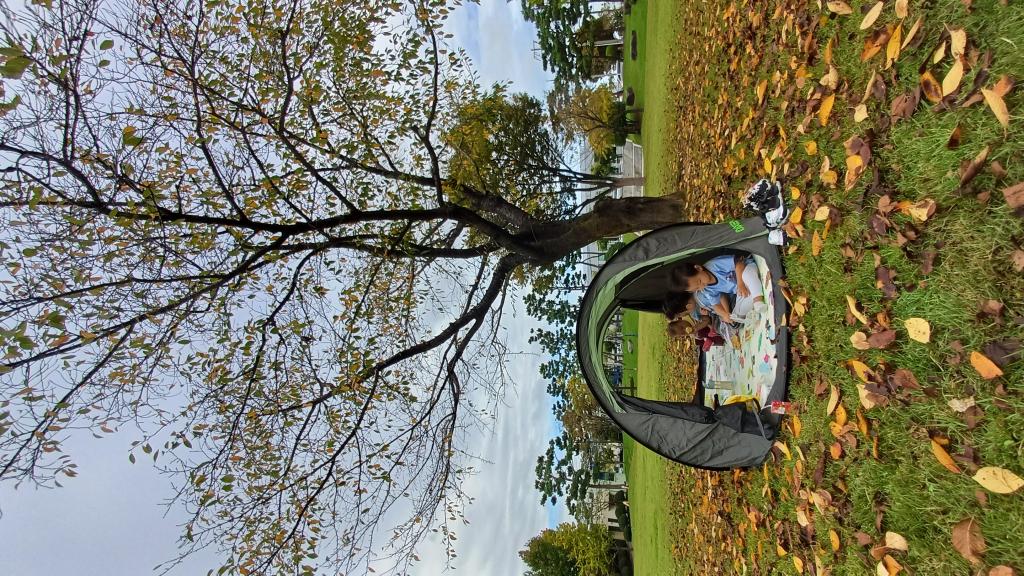 가을소풍 이미지 